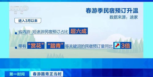 春暖花開時，三大潮流打卡新選擇 花海、民宿與山地戶外運動