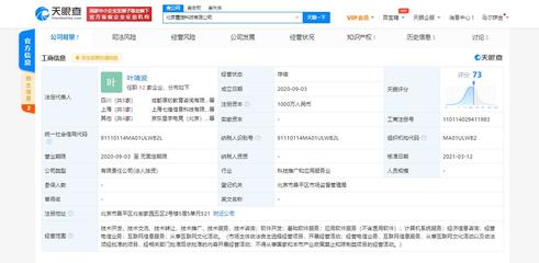 京東關聯電競公司戰略入股北京霓旌科技，業務版圖拓展至經濟信息咨詢新領域