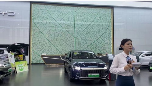 比亞迪超大眾登頂中國汽車銷量第一 小編探店看看是否名不符實(shí)