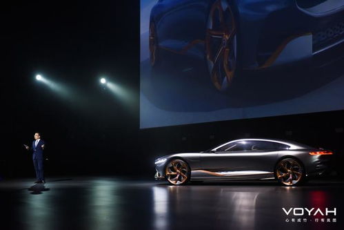 心有成竹 行有嵐圖 voyah i land概念車(chē)全球首發(fā)